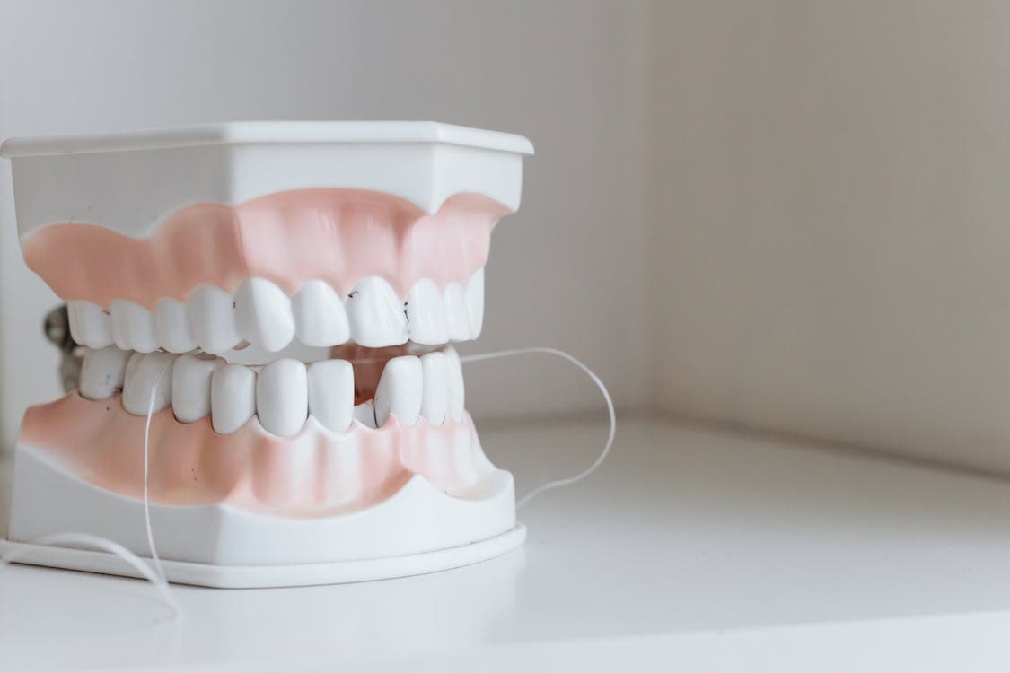 The CDC’s Periodontal Disease Data Reveals a Cascade Most Patients Never Connect to Their Jaw